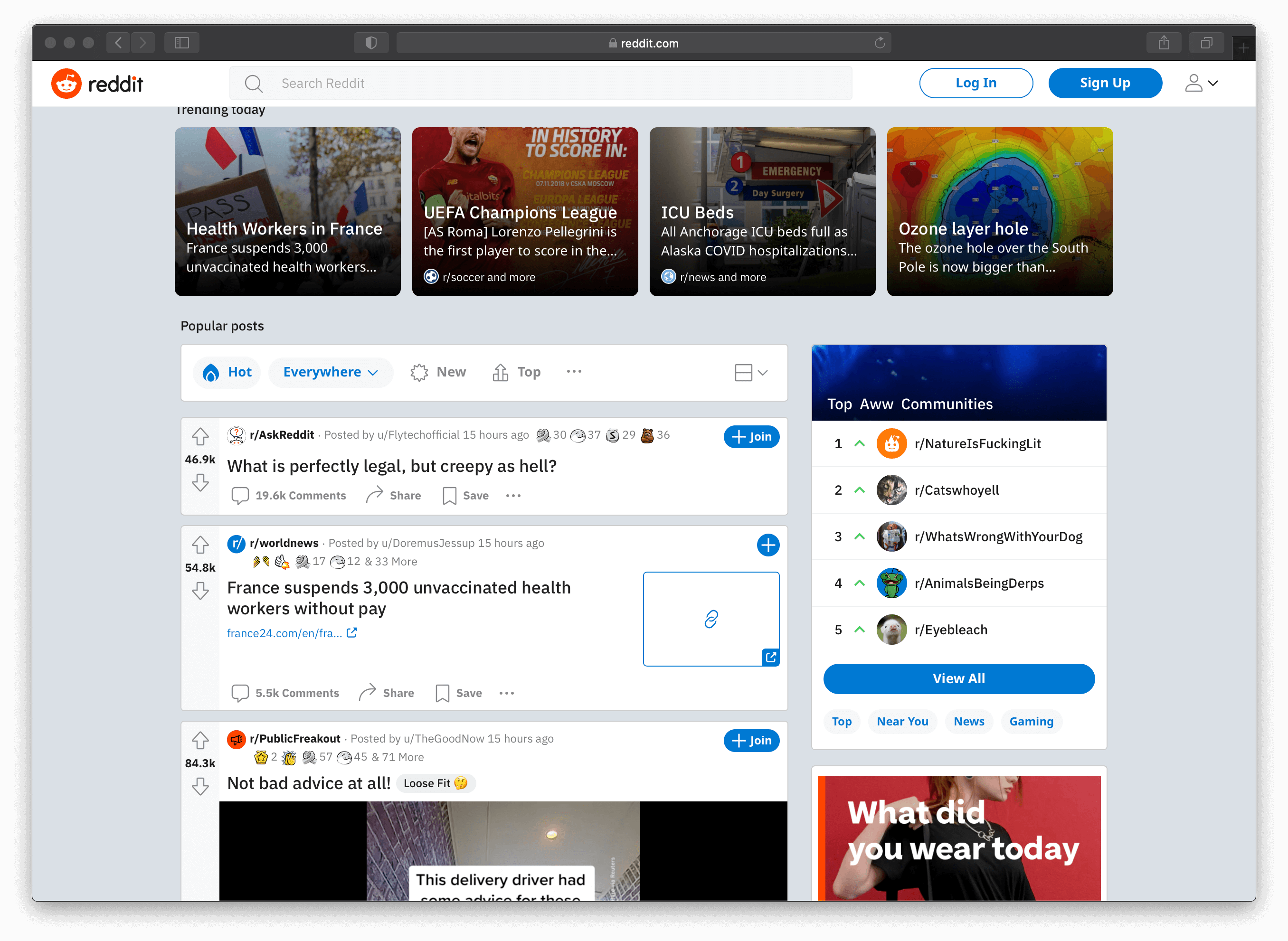 reddit website