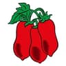 San Marzano (DOP) logo
