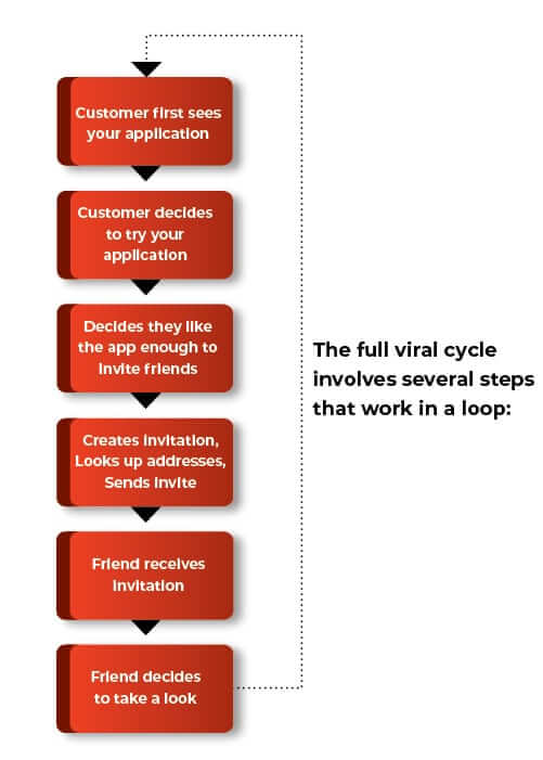 Viral Cycle Flowchart showing the steps involved in the full Viral Cycle 