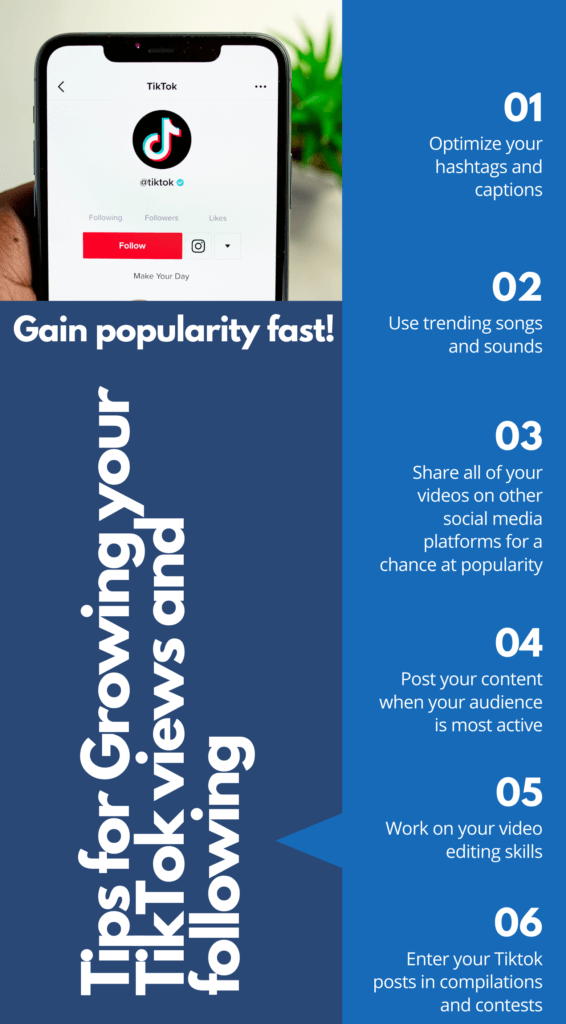 Tips for Growing your TikTok views and following