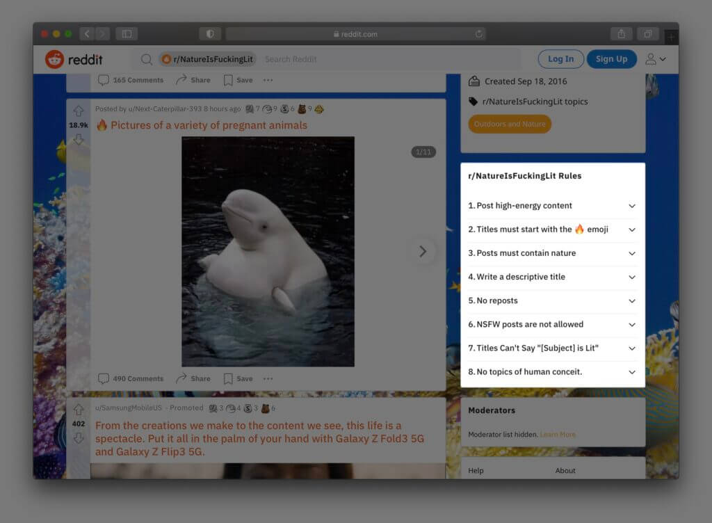 /r/natureisfuckinglit subreddit rules